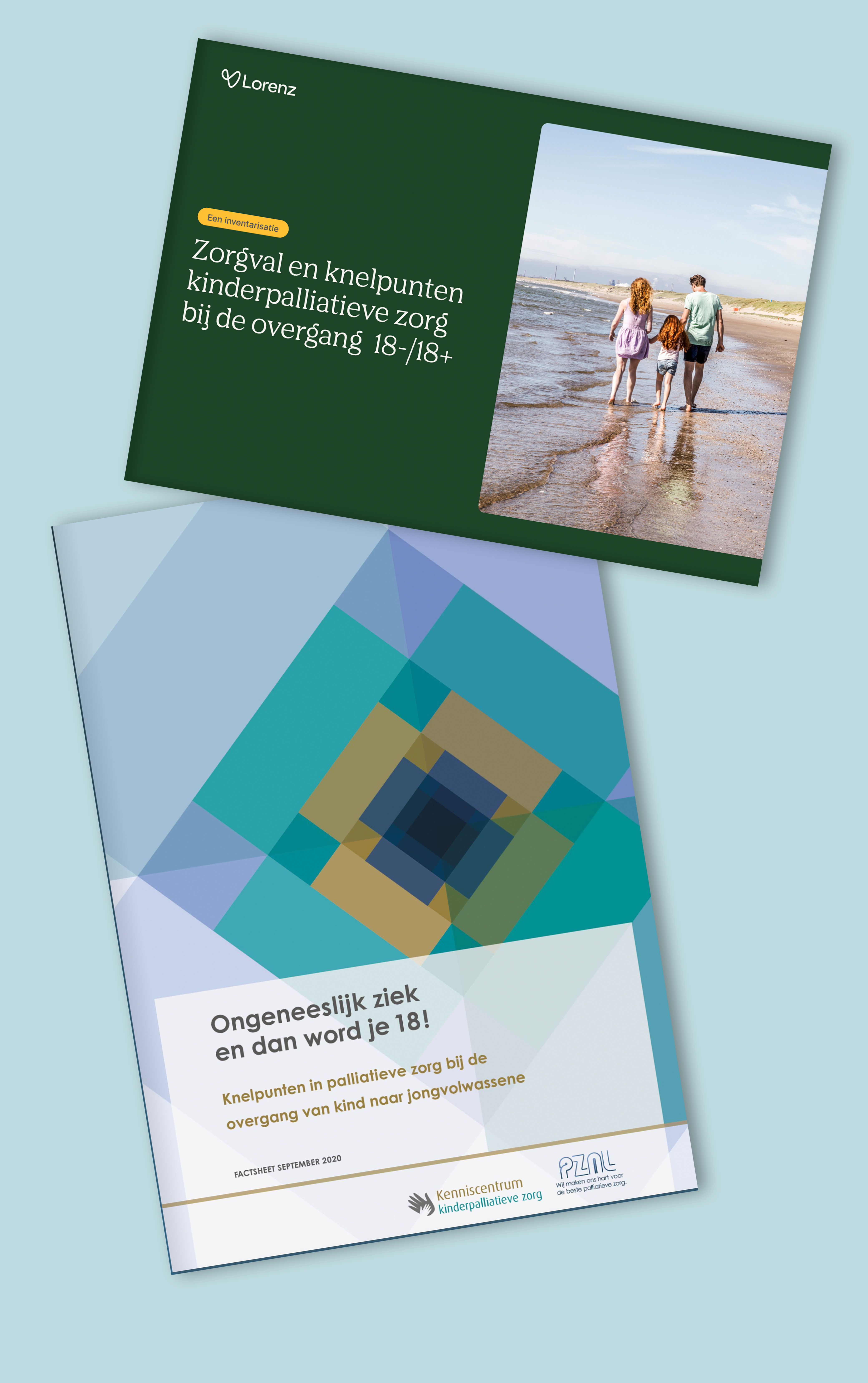 Overzicht van knelpunten en aanbevelingen