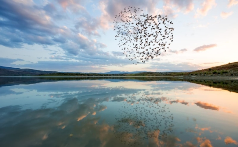 E-learning Verlies en rouw in kinderpalliatieve zorg (cursus 4)