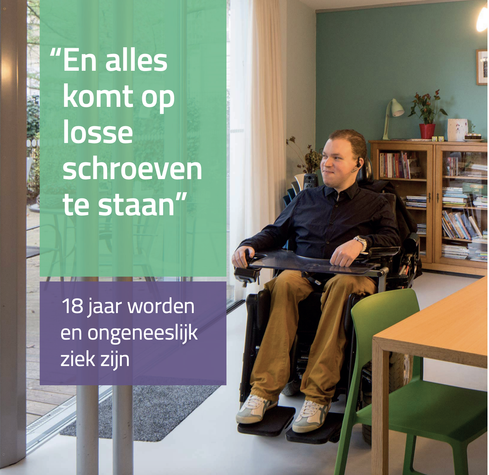 Overzicht van knelpunten en aanbevelingen