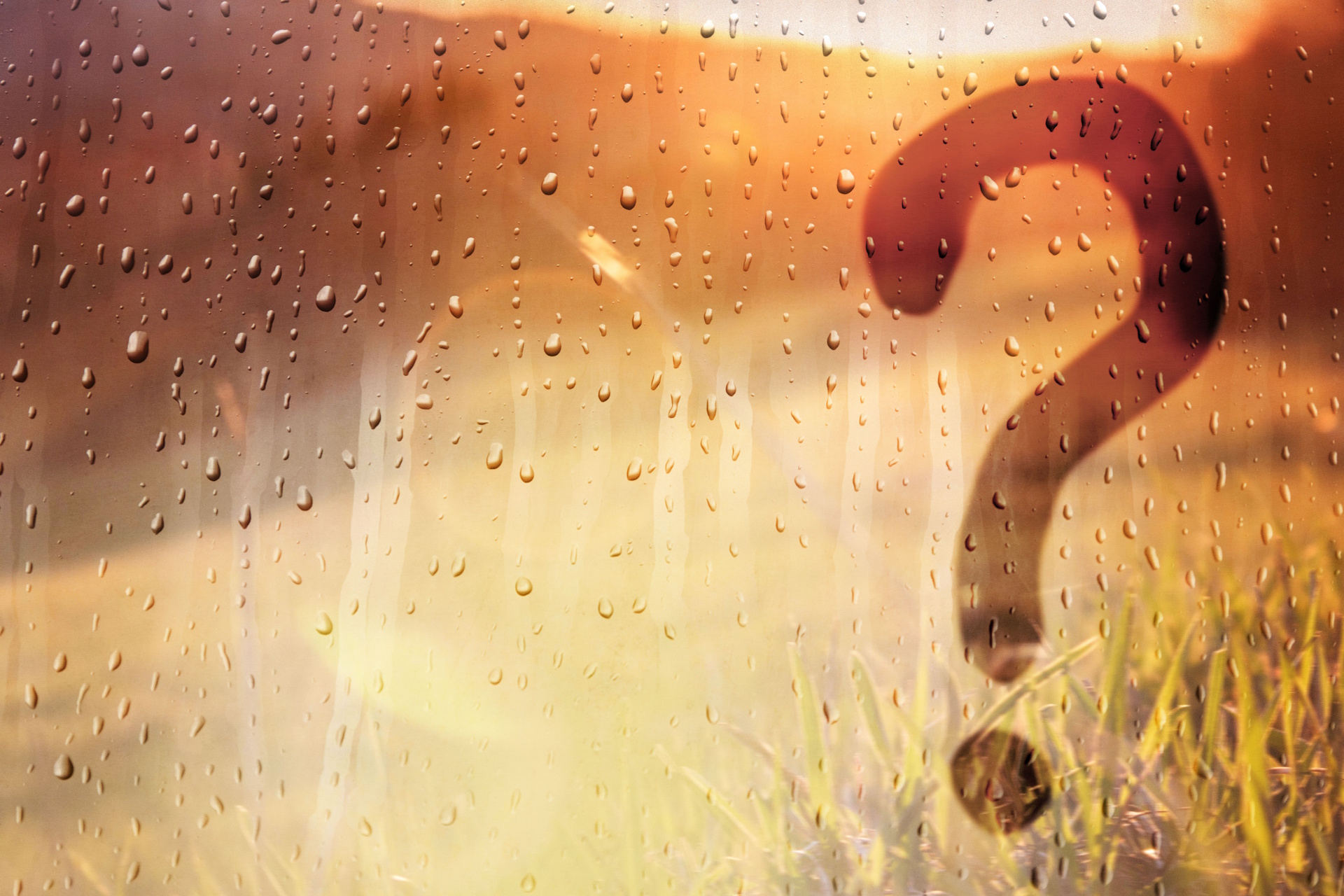 De omgang met het &apos;niet-oplosbare&apos;