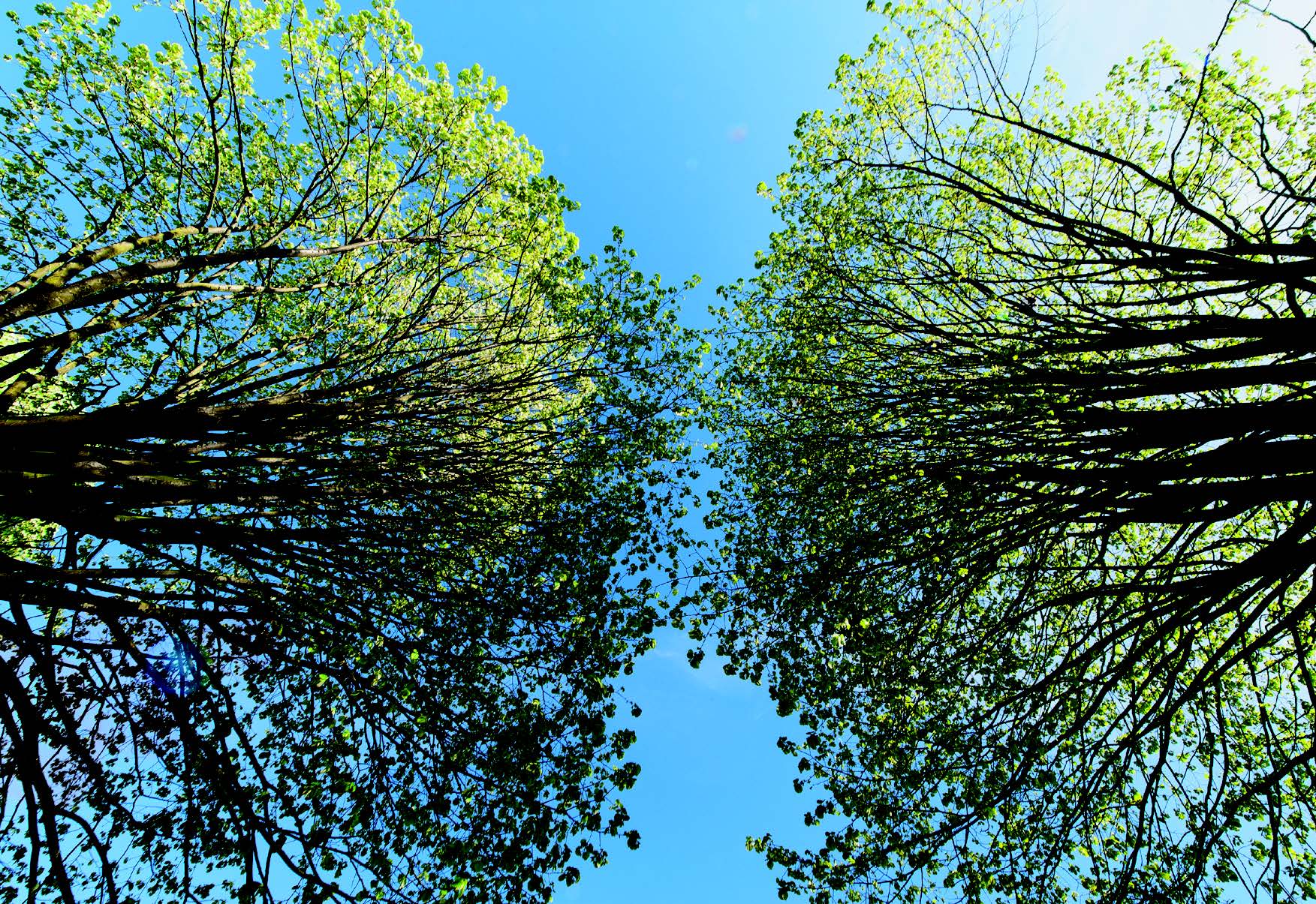 Exploring spirituality in pediatric palliative care